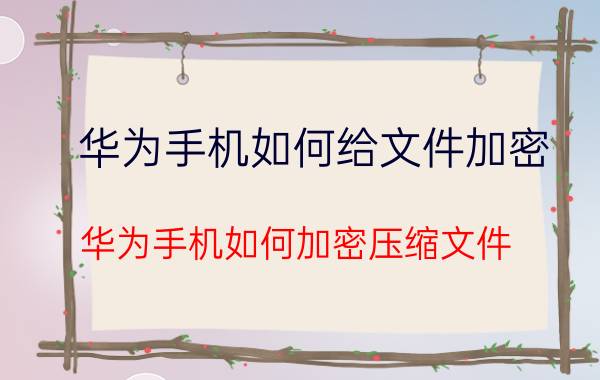 华为手机如何给文件加密 华为手机如何加密压缩文件？